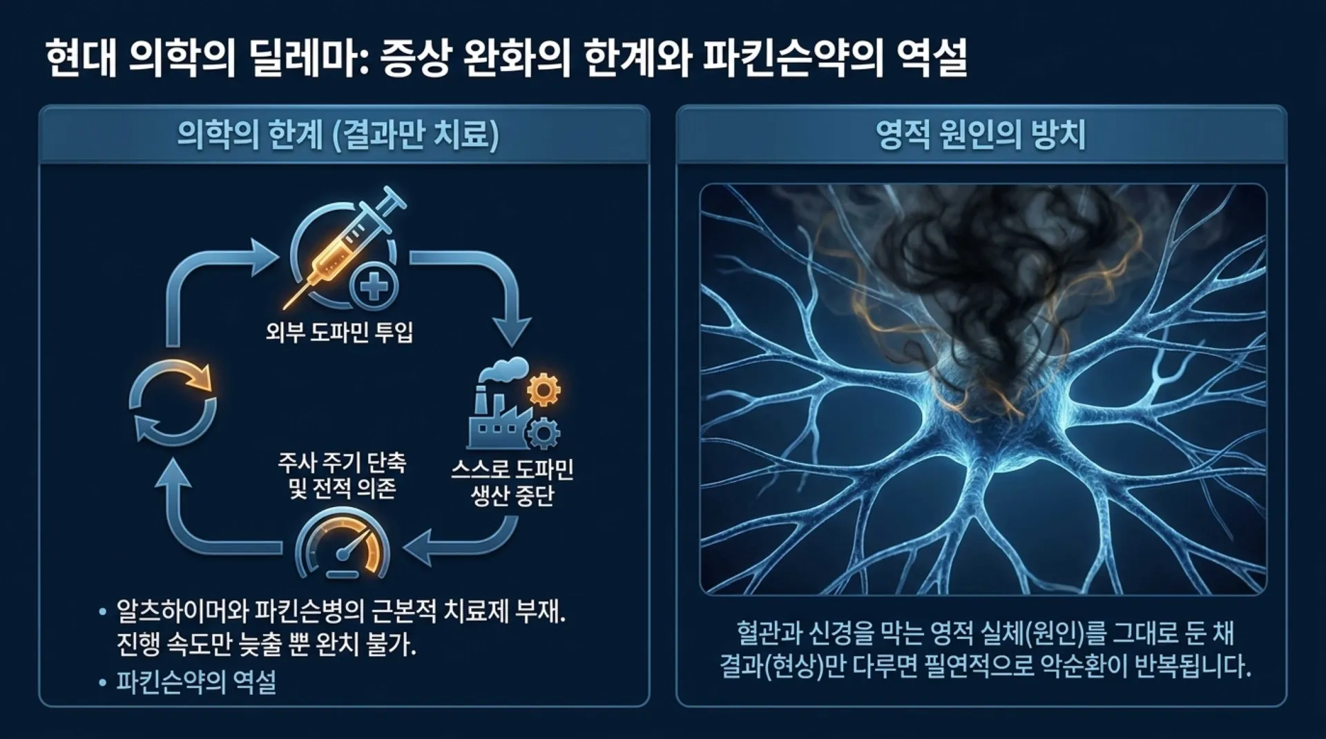[금요기도회(26.06.19)] Spiritual_Roots_and_Biblical_Healing_of_Dementia.pdf_3_vora.jpg.webp