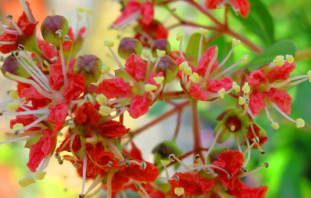 20260624_001201.jpg.webp