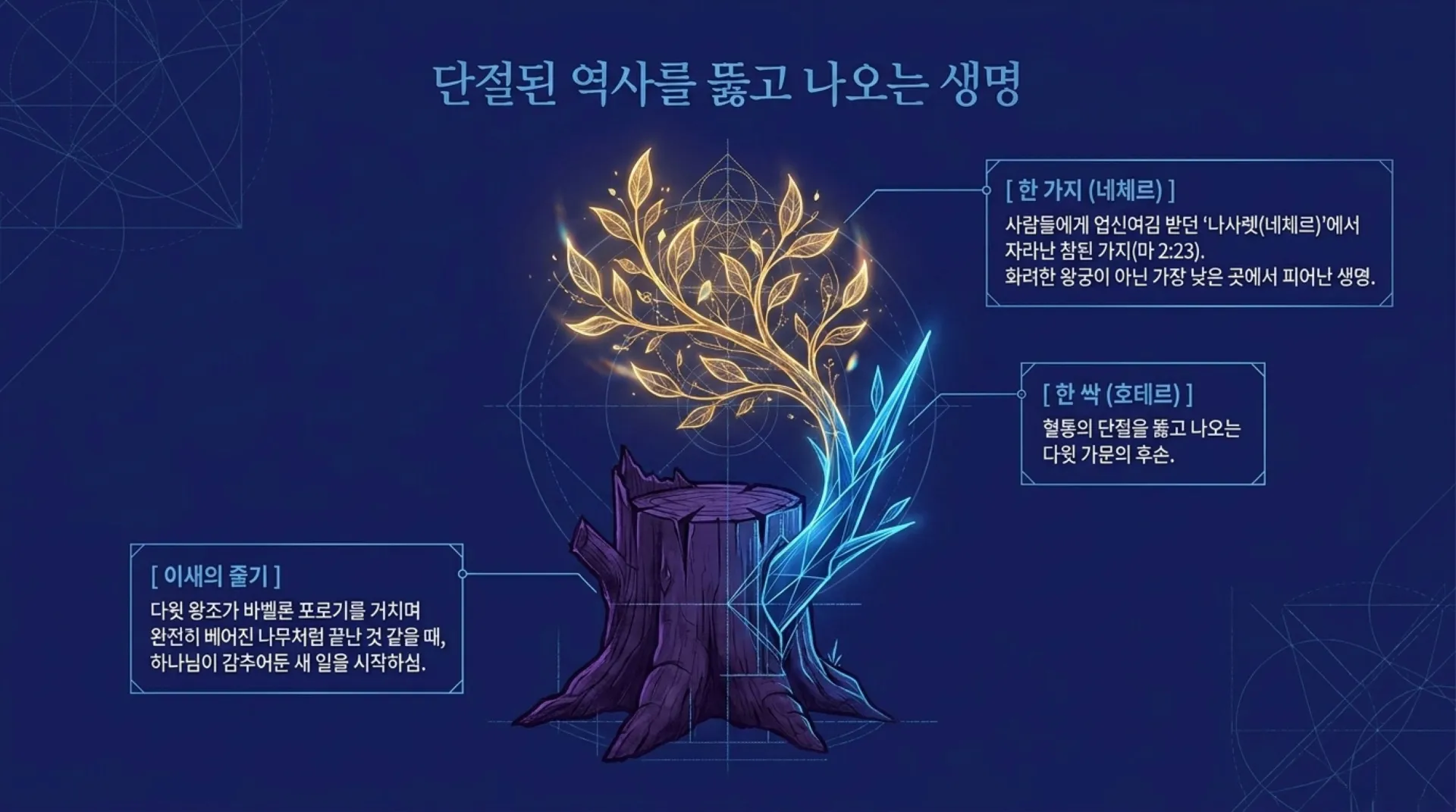 [기독론(143)] David_the_Messianic_Blueprint.pdf_3_vora.jpg.webp