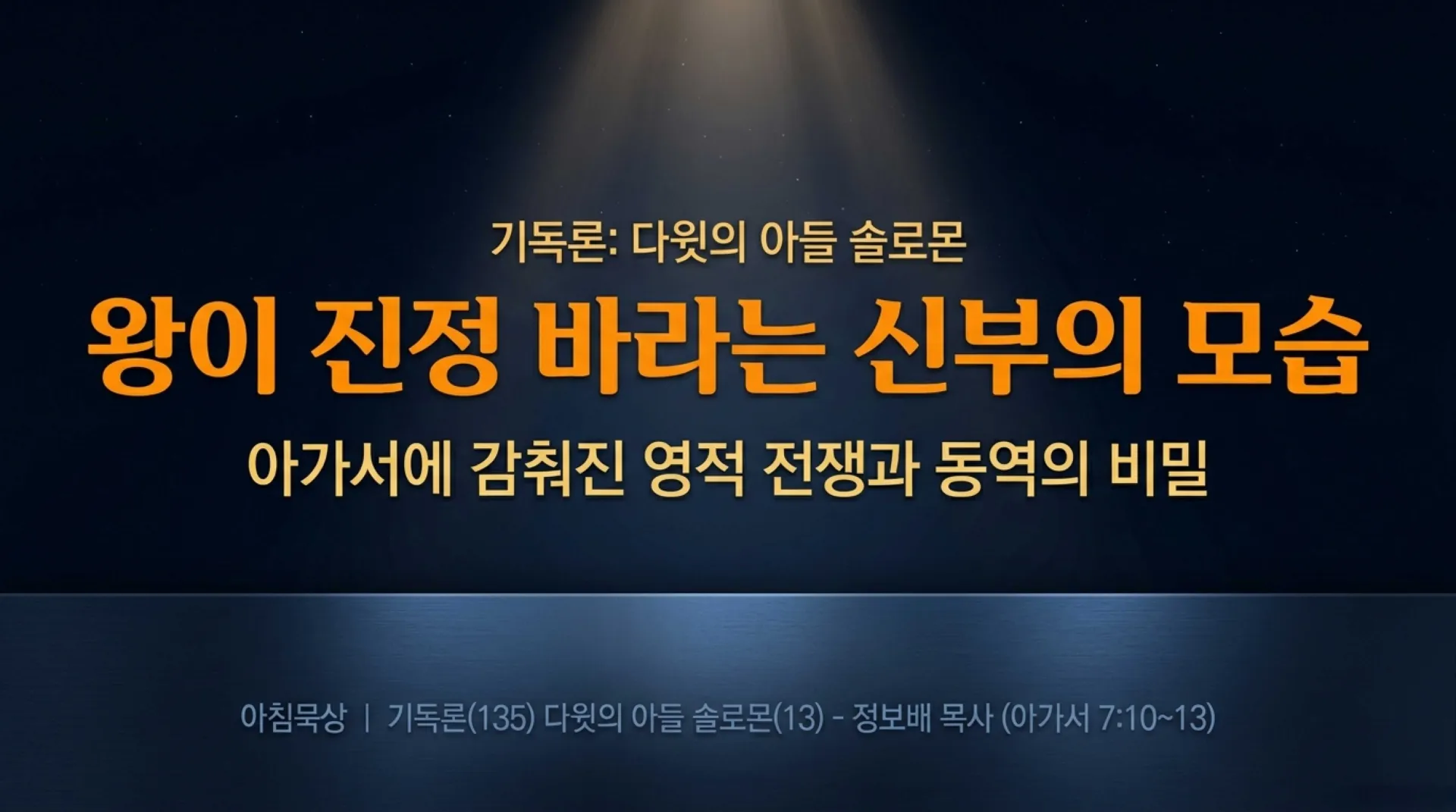 [기독론(135)] The_King_s_Warrior_Bride.pdf_1_vora.jpg.webp