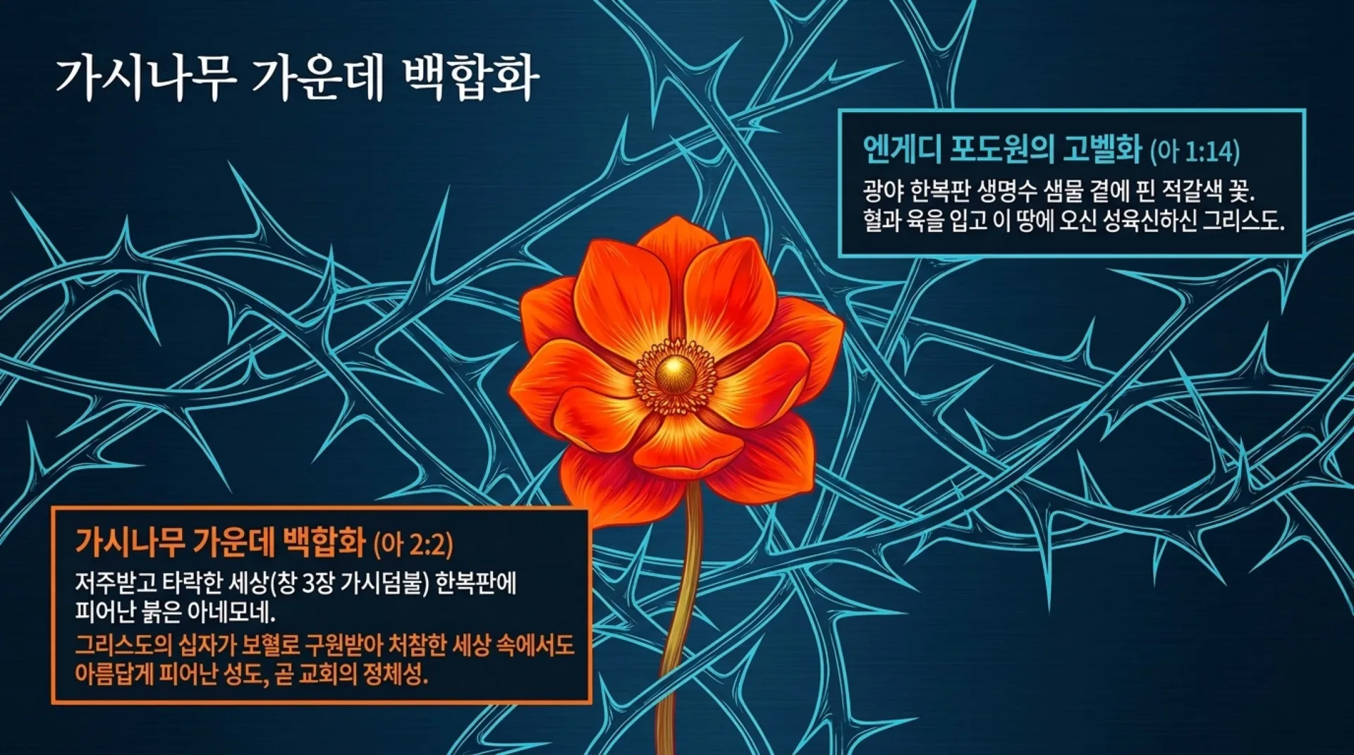 [기독론(127)] The_Hidden_Cross_Masterplan.pdf_11_vora.jpg.webp