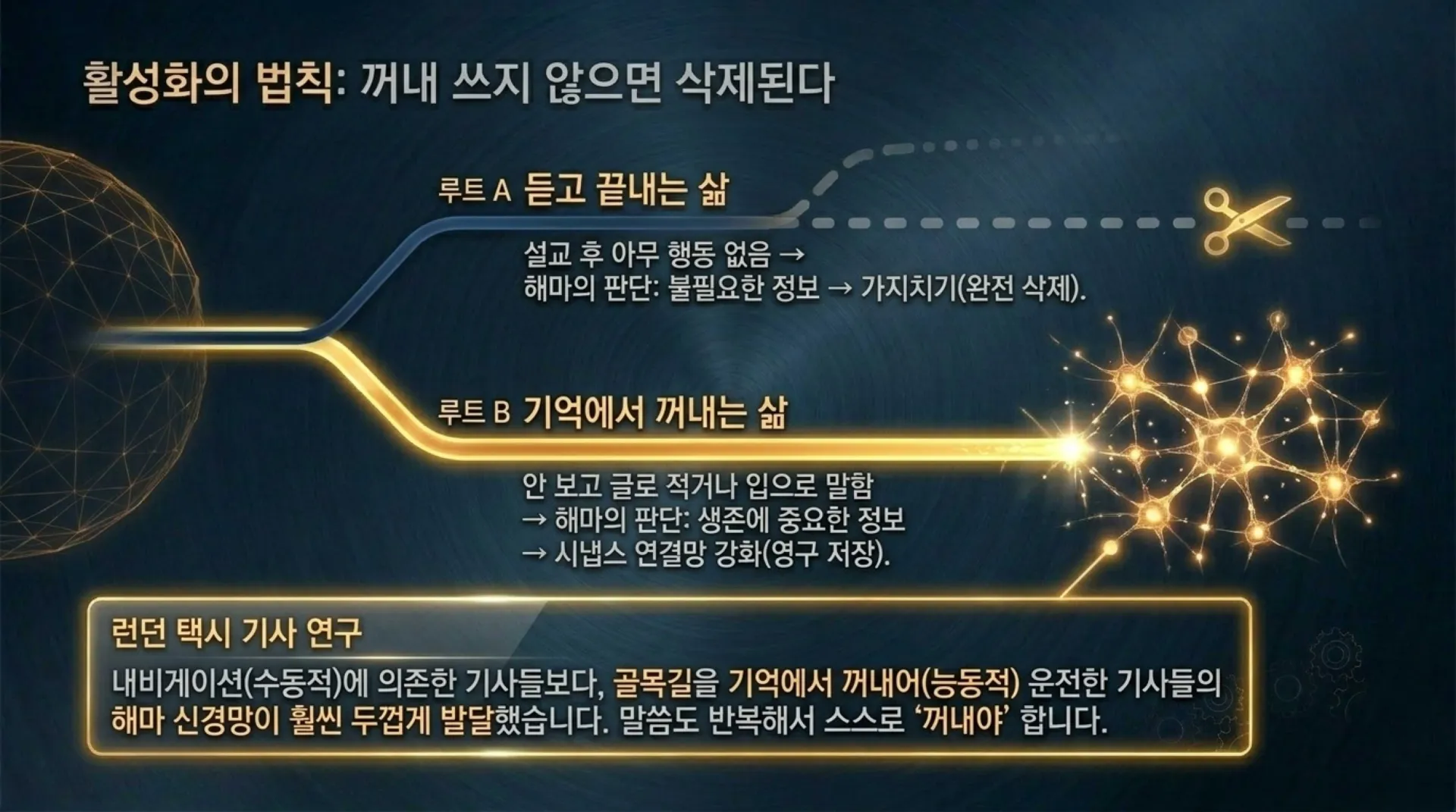 [해마_기억력촉진법] Neuroscience_of_Scriptural_Memory.pdf_7_vora.jpg.webp
