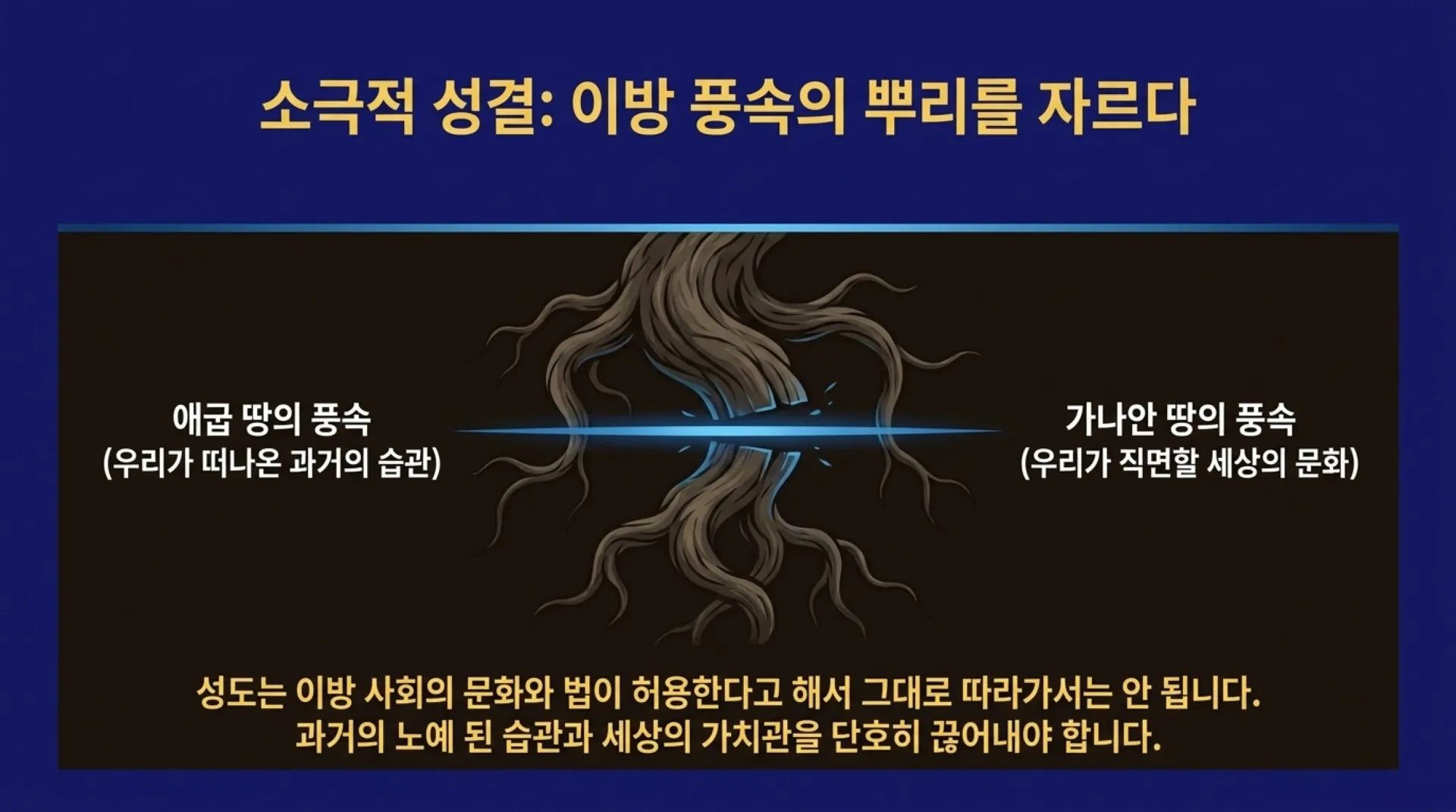 [레위기강해(14)] The_Blueprint_of_Sanctification.pdf_8_vora.jpg.webp