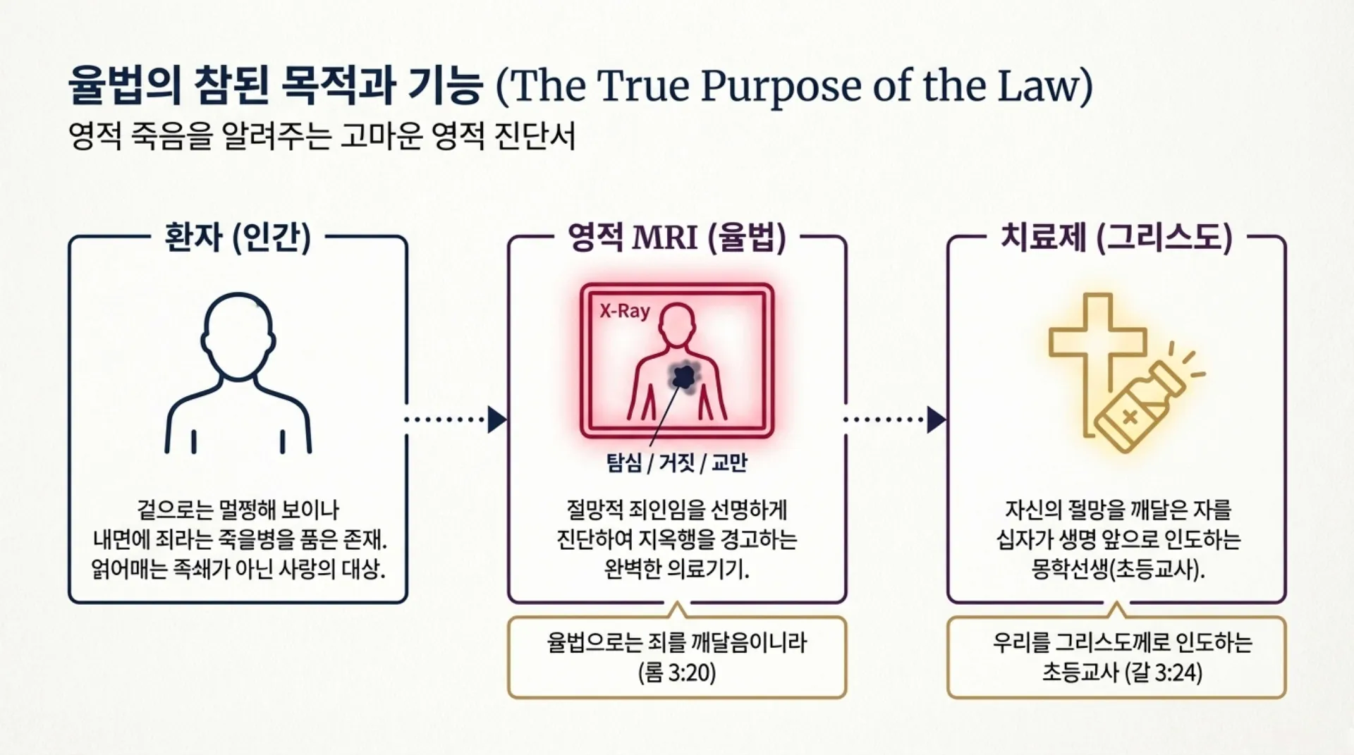 The_Law_and_Grace_Mystery.pdf_4_vora.jpg.webp