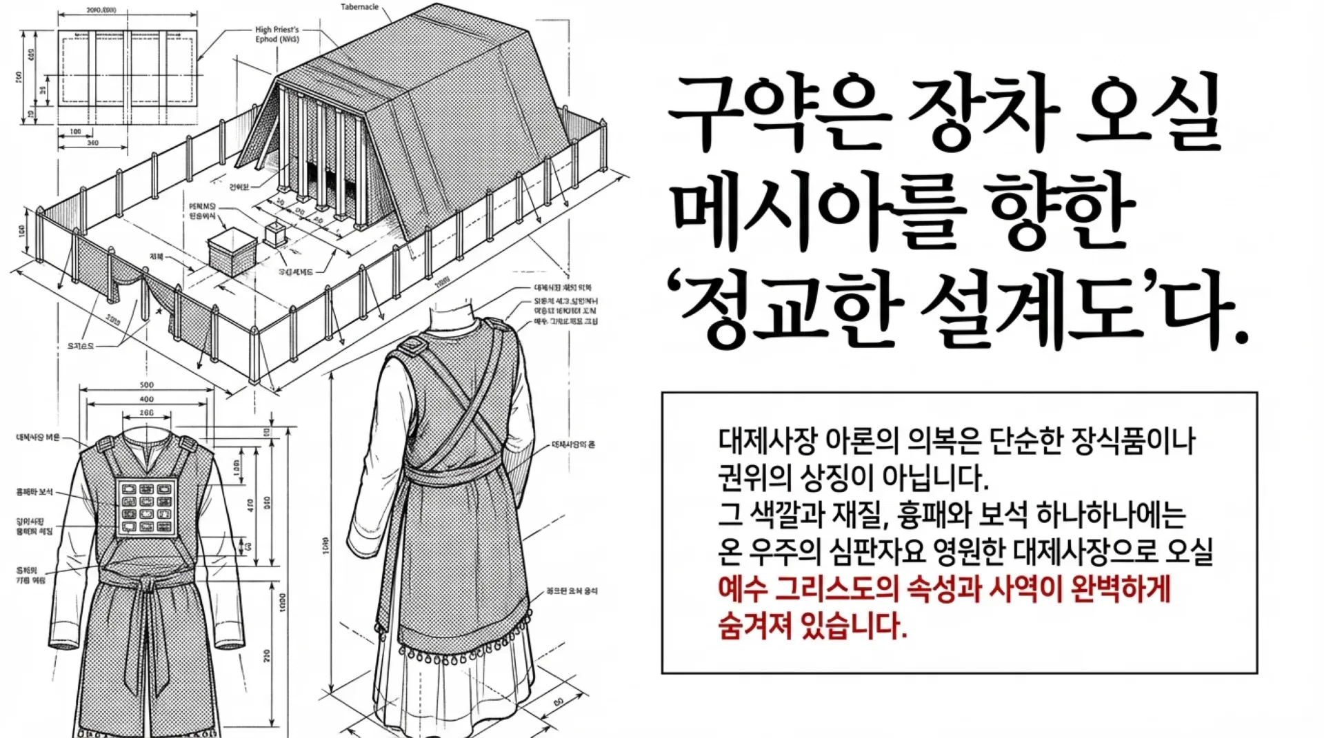 The_Messiah_s_Blueprint.pdf_2_vora.jpg.webp