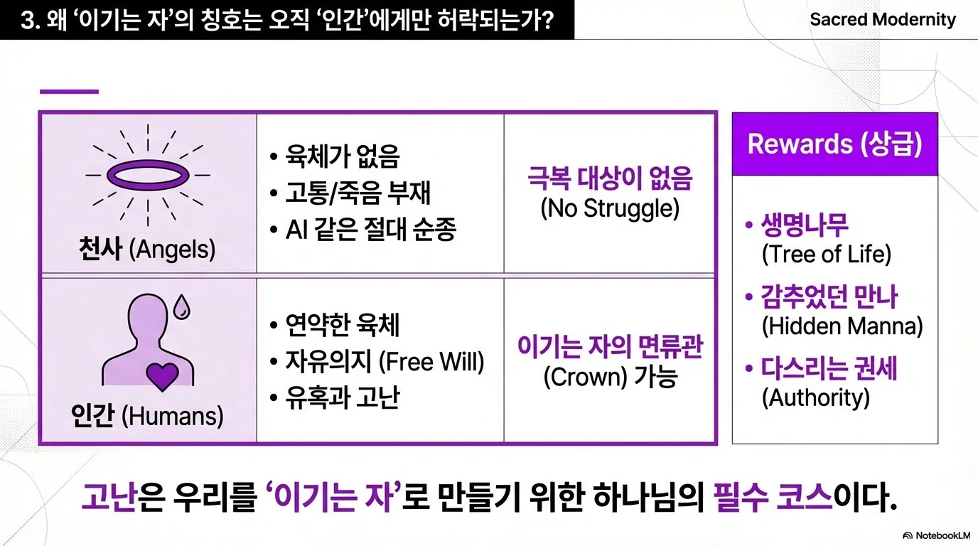 unnamed (25).png.webp