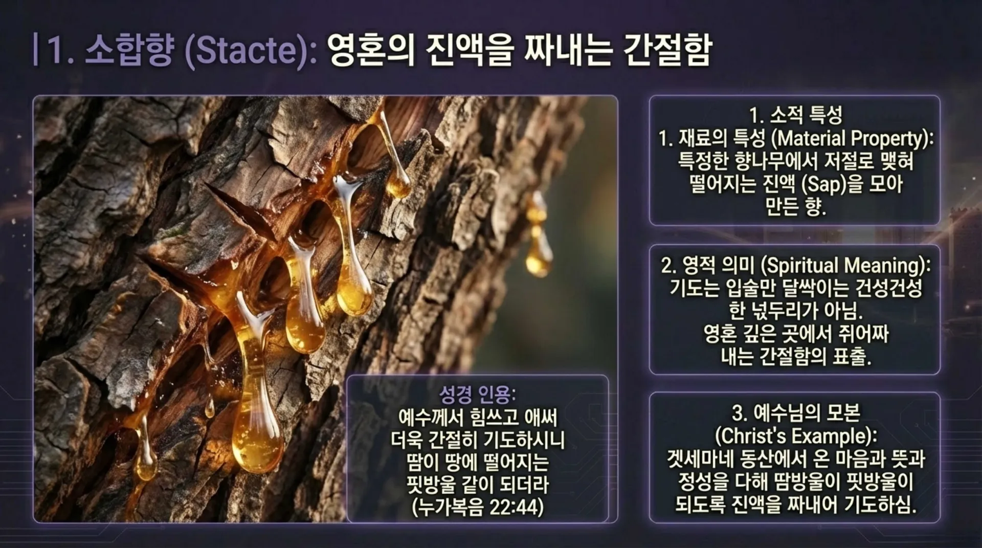 The_Intercession_Protocol.pdf_9_vora.jpg.webp