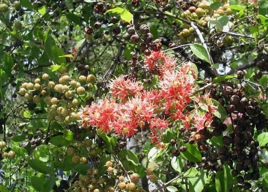 s-l1600.webp