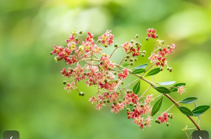 20260625_161158.jpg.webp
