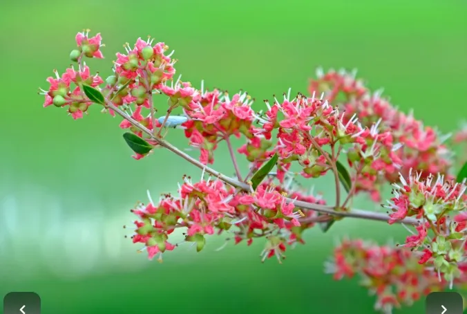 20260625_161132.jpg.webp