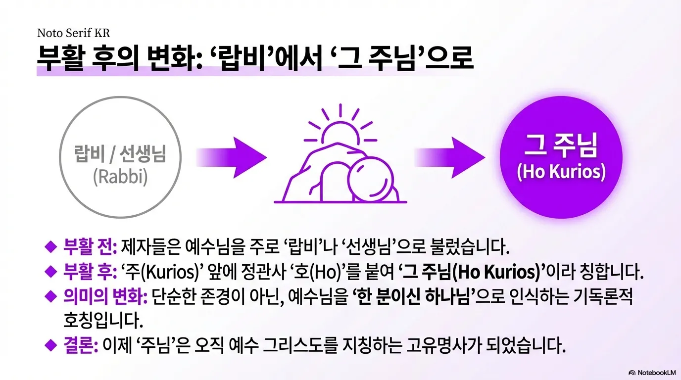 unnamed (15).png.webp