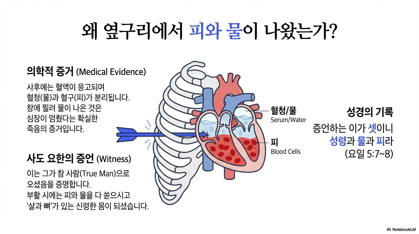 unnamed (7).png.webp