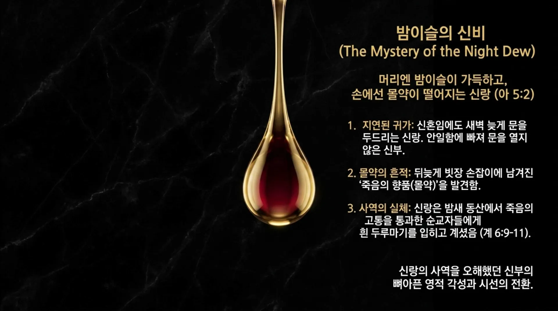 [기독론(132)] 잠근_동산의_신비.pdf_8_vora.jpg.webp