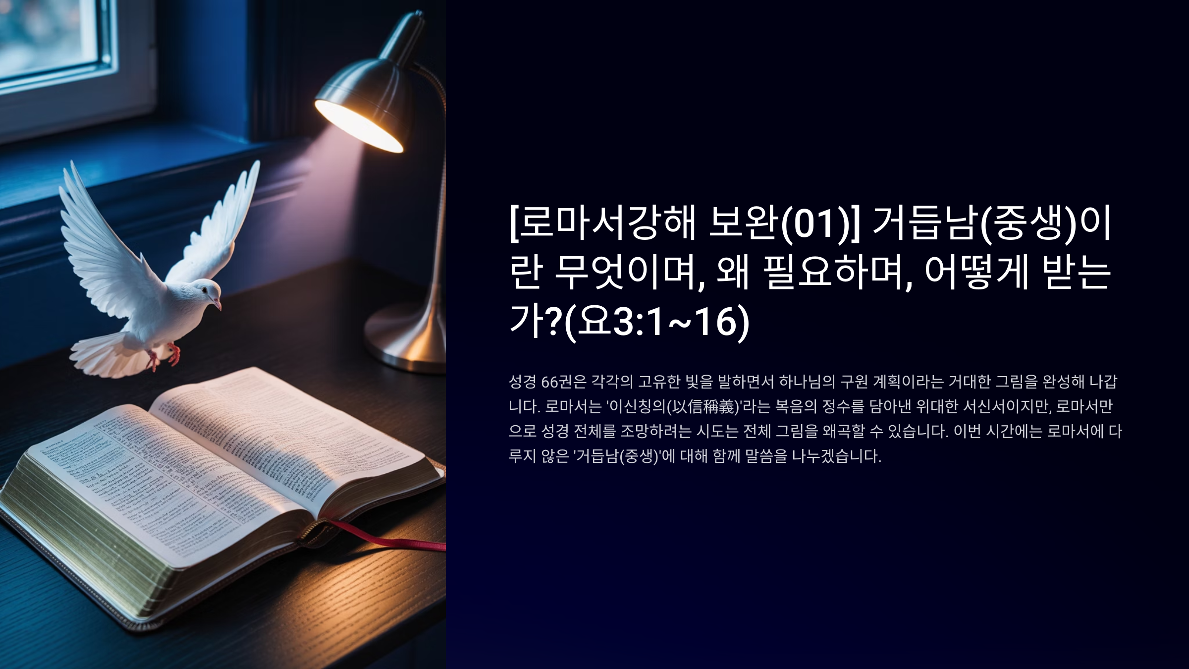 1_01-3116.png