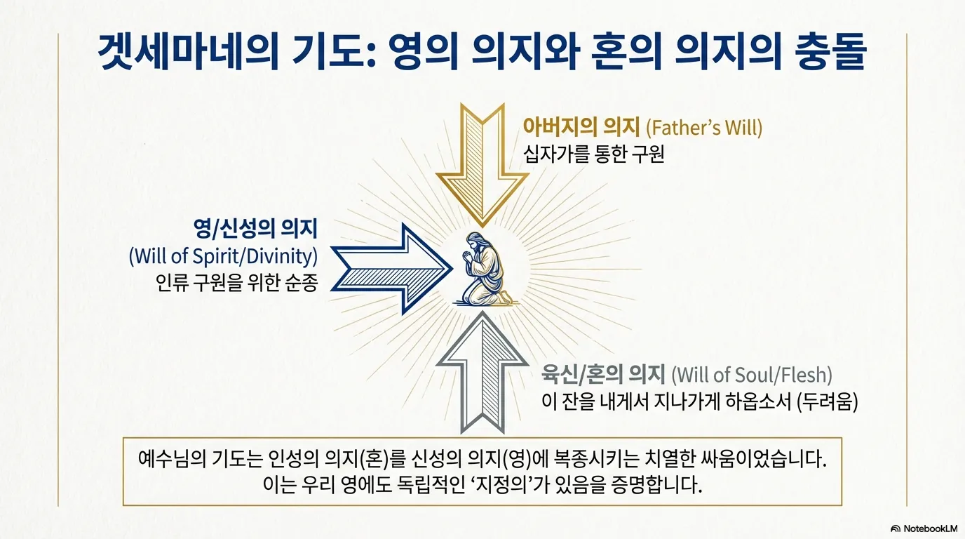 unnamed (11).png.webp