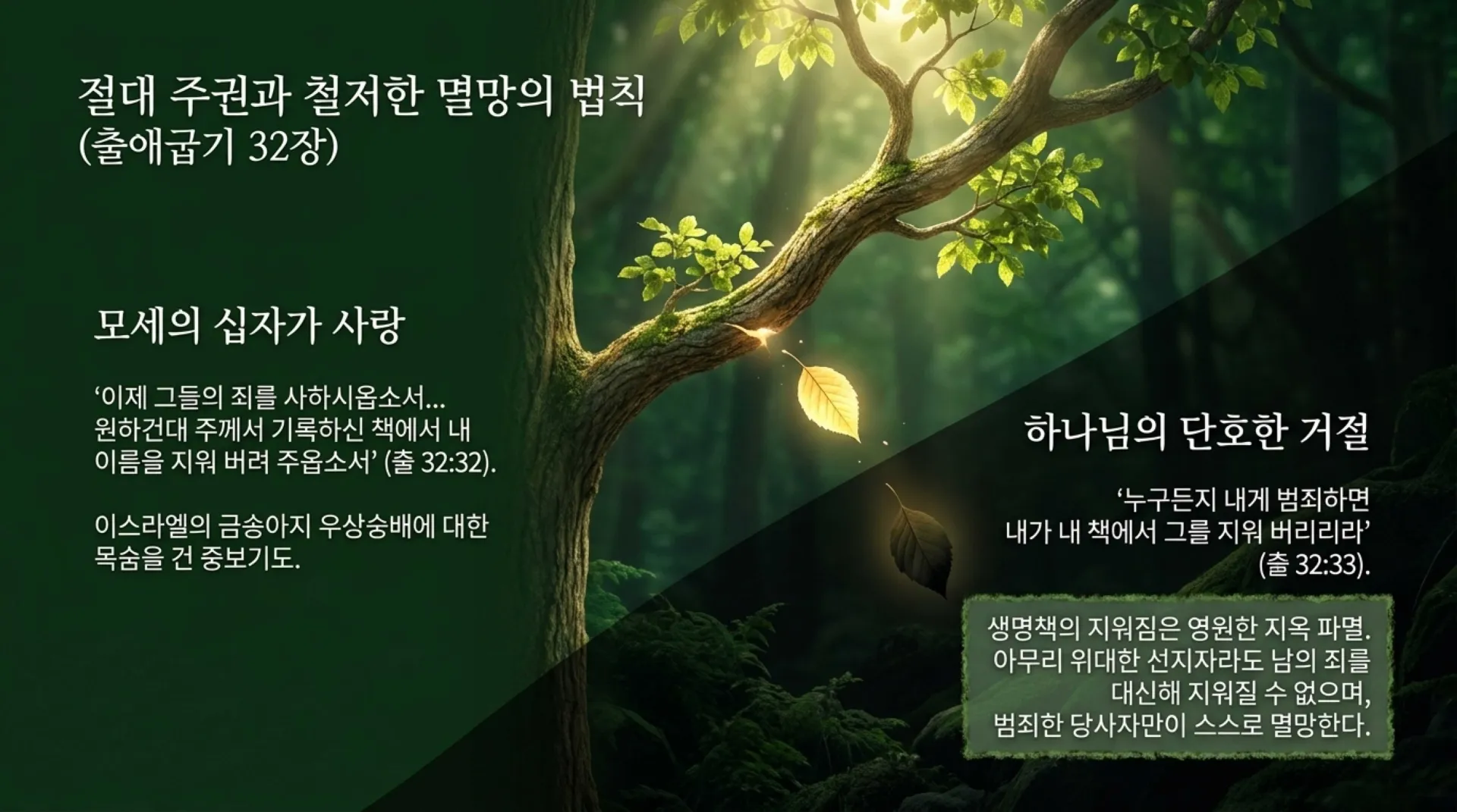 [생명책과행위책(08)] Guarding_the_Book_of_Life.pdf_6_vora.jpg.webp
