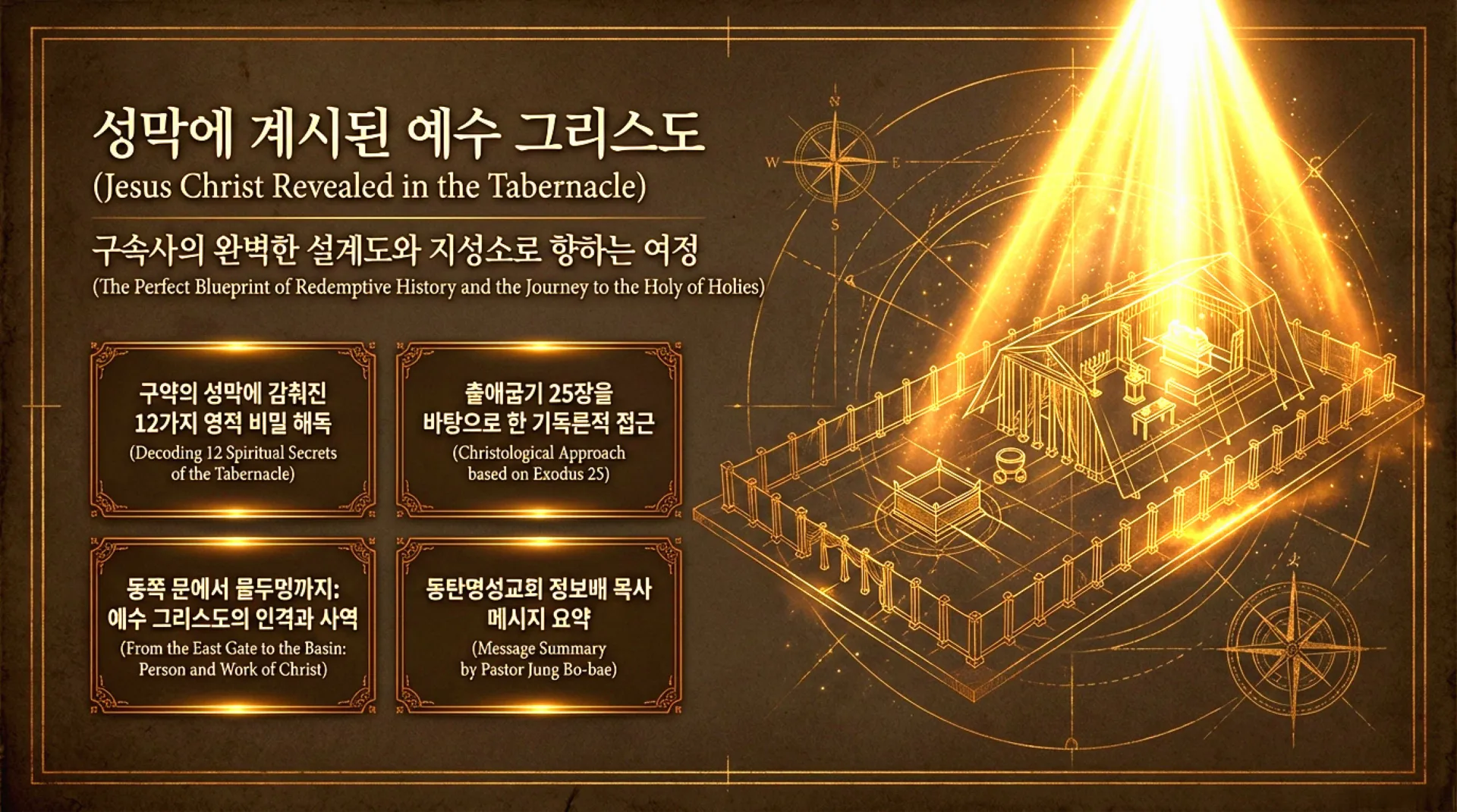 The_Divine_Blueprint (1).pdf_1_vora.jpg.webp