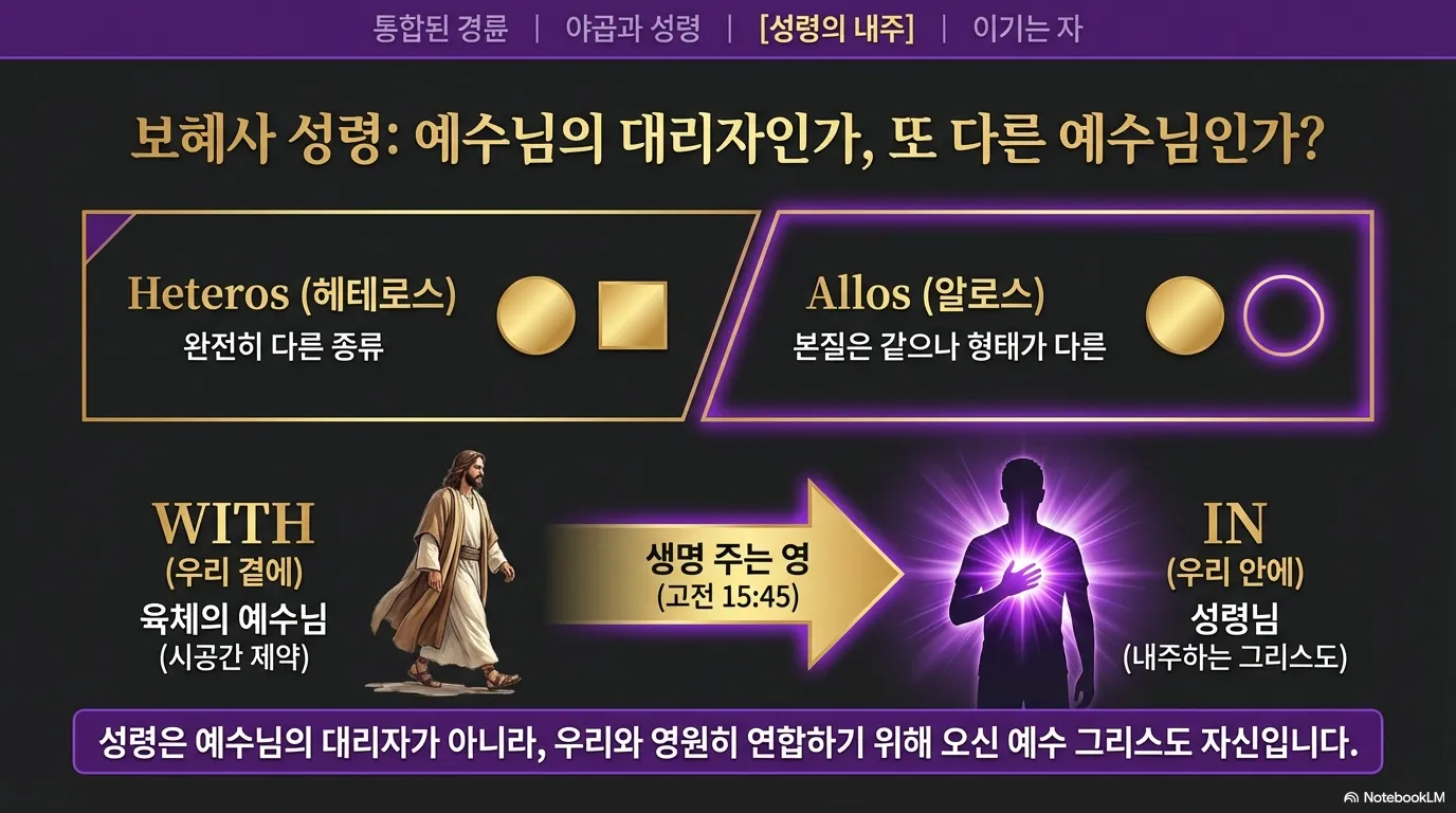 unnamed (18).png.webp