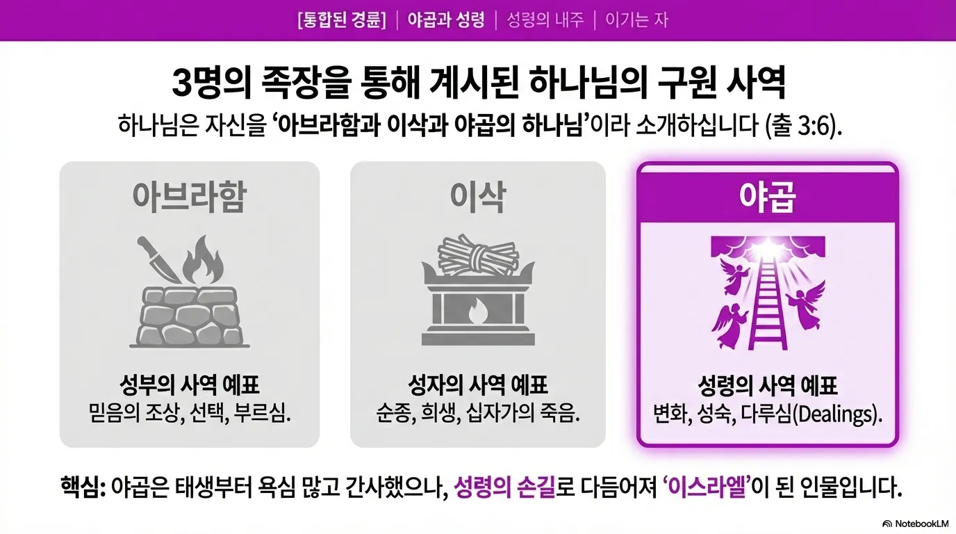 unnamed (14).png.webp