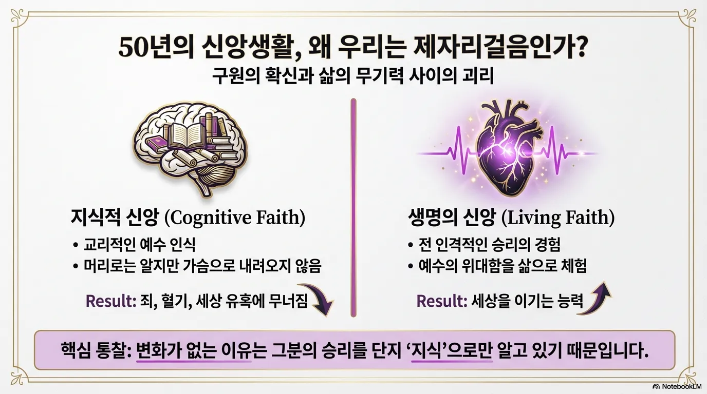 unnamed (23).png.webp