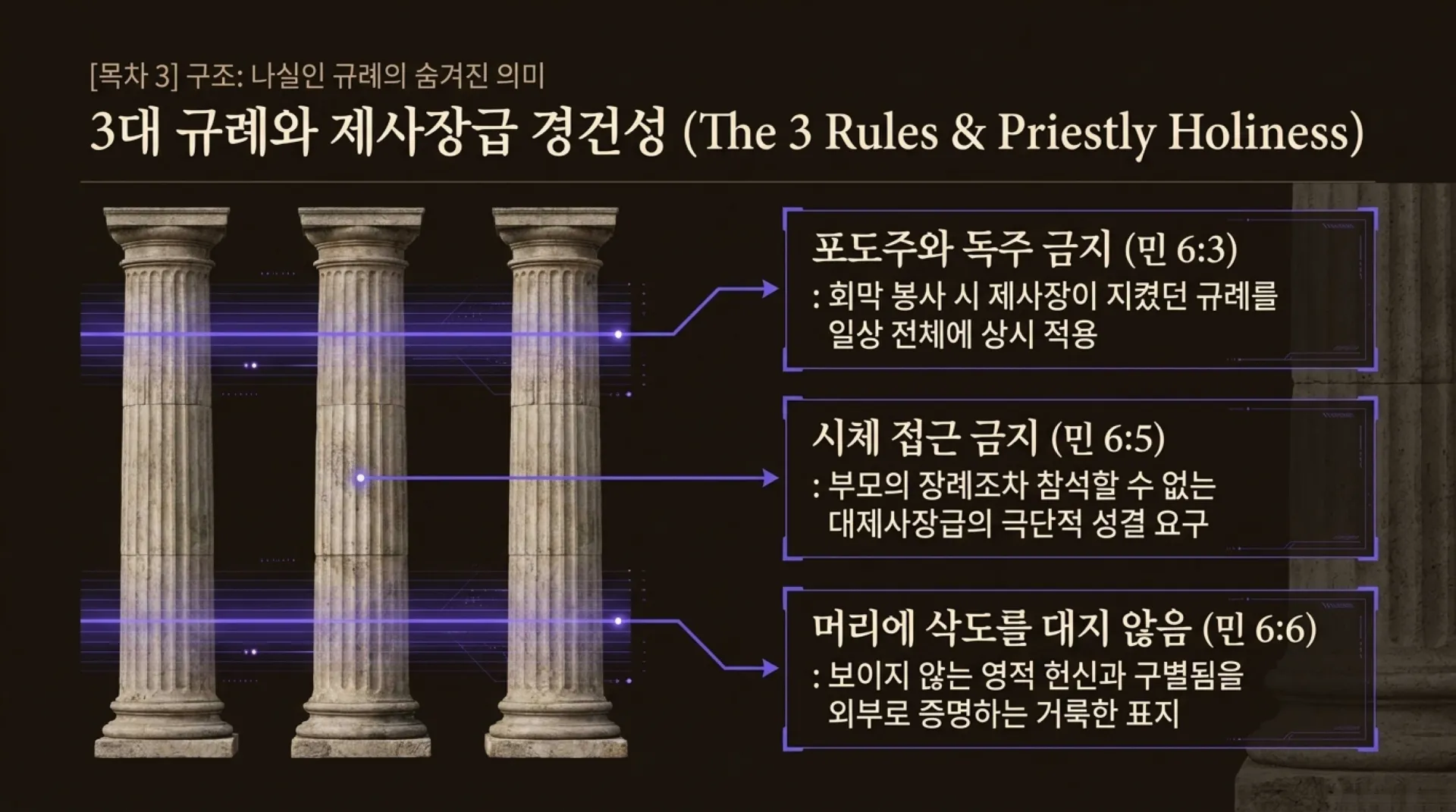[기독론(90)] The_Nazirite_Secret.pdf_4_vora.jpg.webp