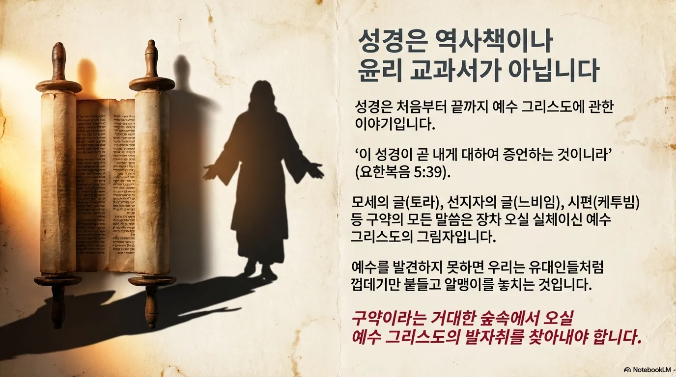 unnamed (9).png.webp