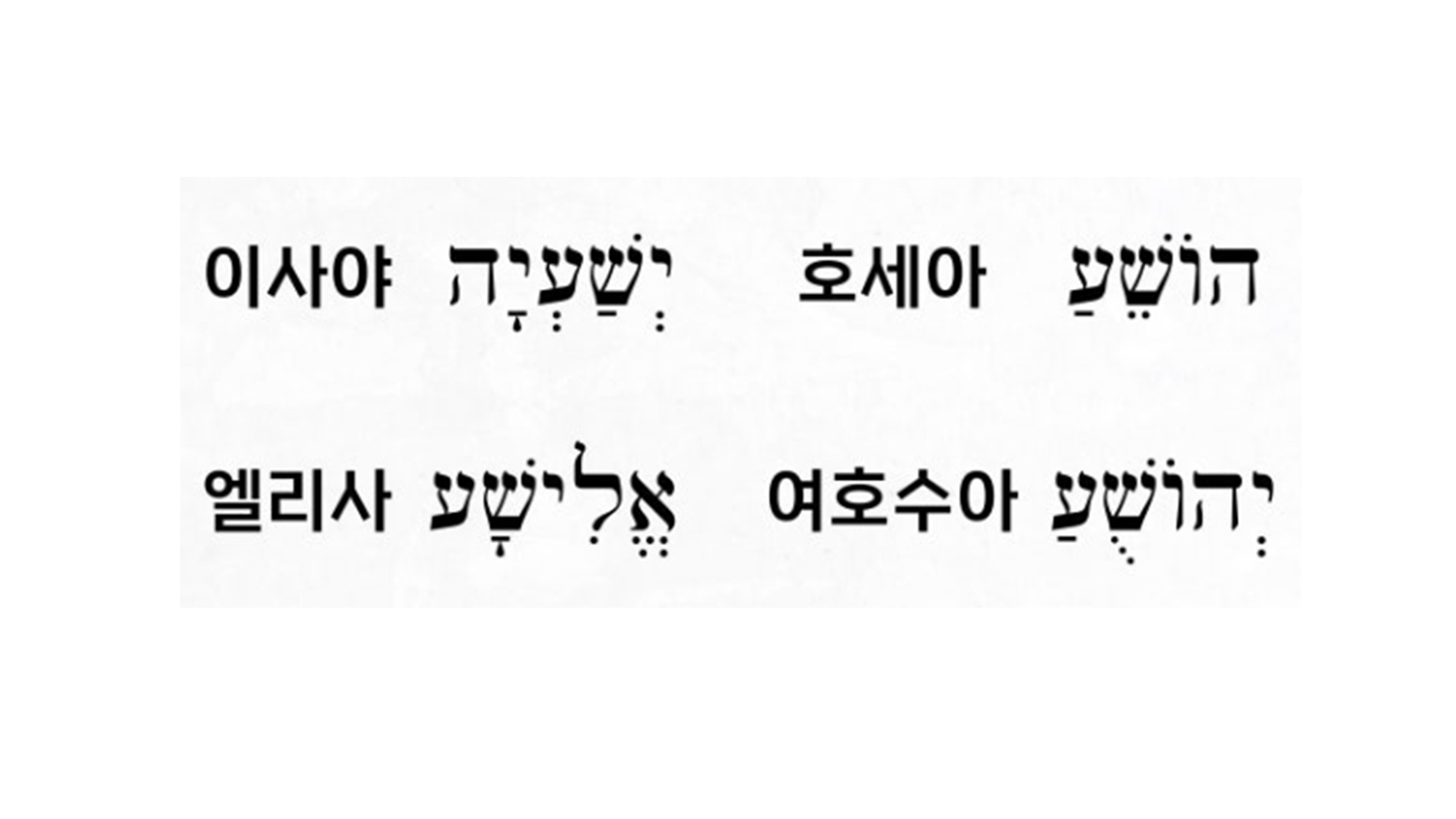 슬라이드3.PNG