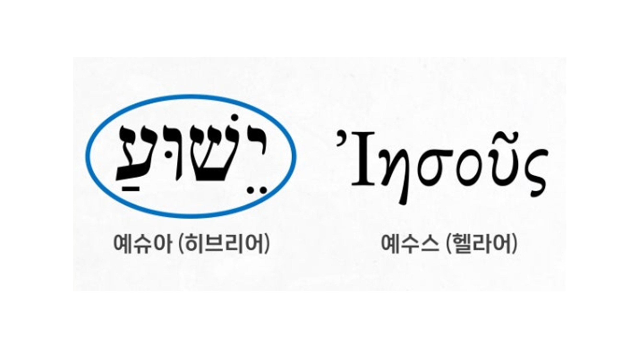 슬라이드1.PNG