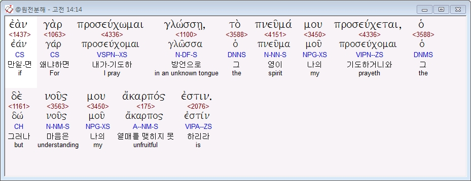 고전14장14절 헬라어본문.jpg
