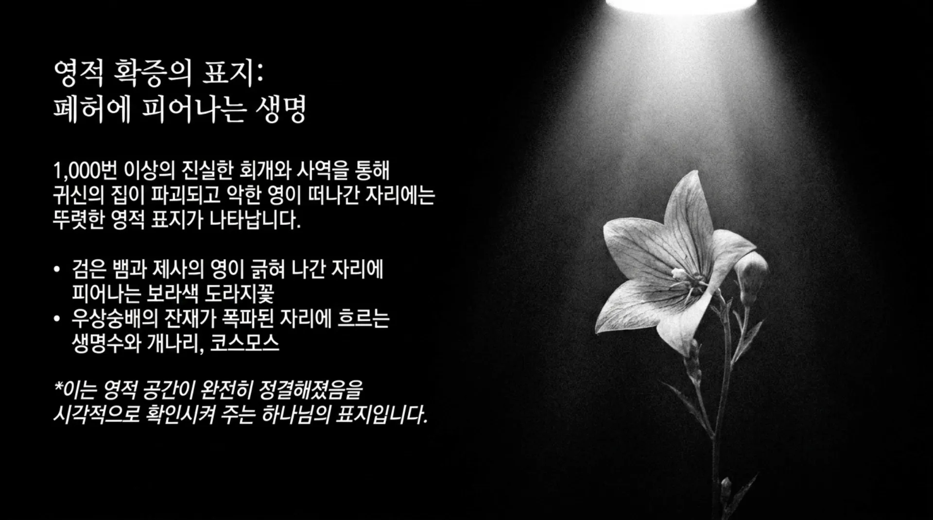 [질병치유법] Anatomy_of_Spiritual_Healing.pdf_12_vora.jpg.webp