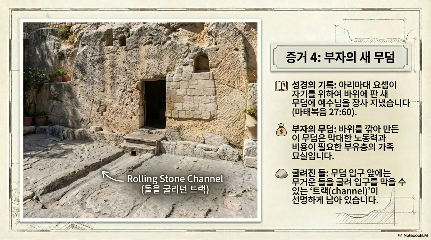 unnamed (18).png.webp