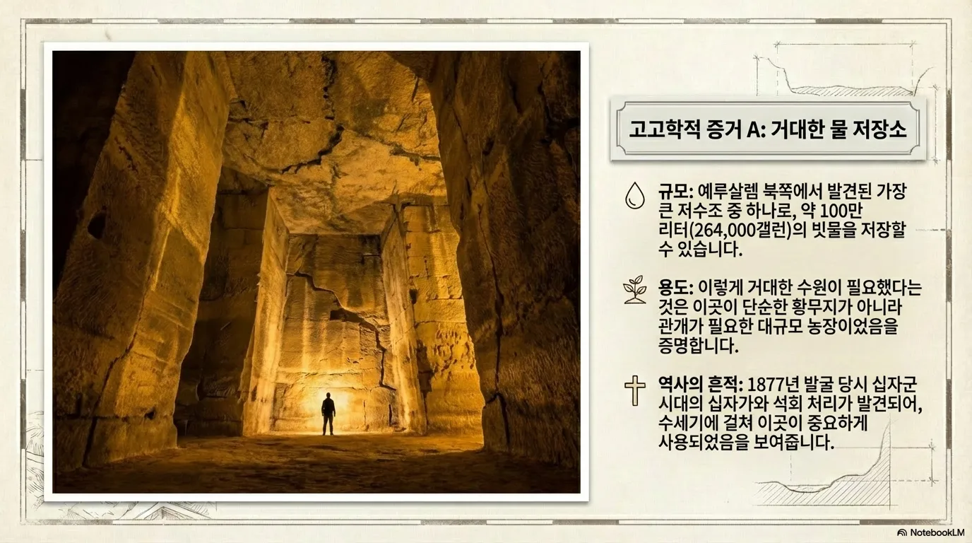 unnamed (16).png.webp