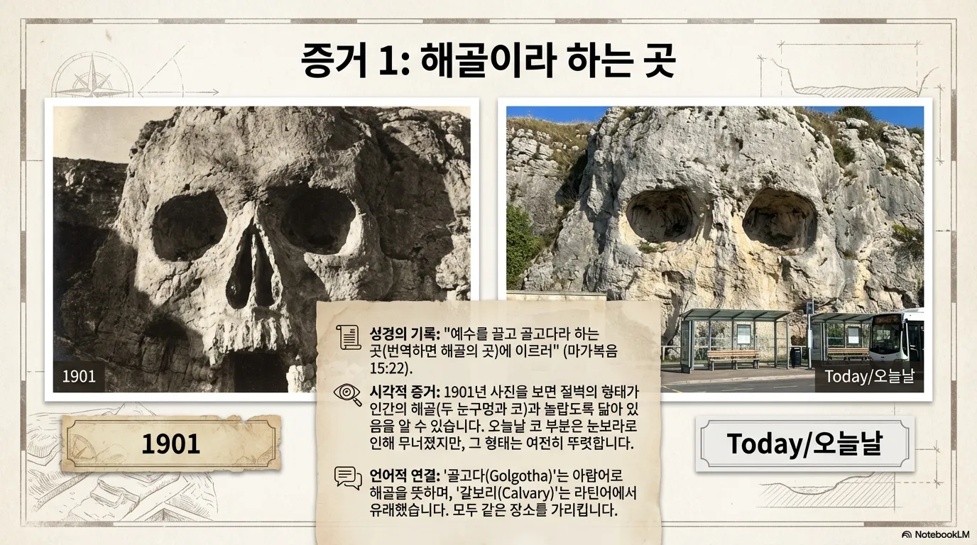 unnamed (12).png.webp