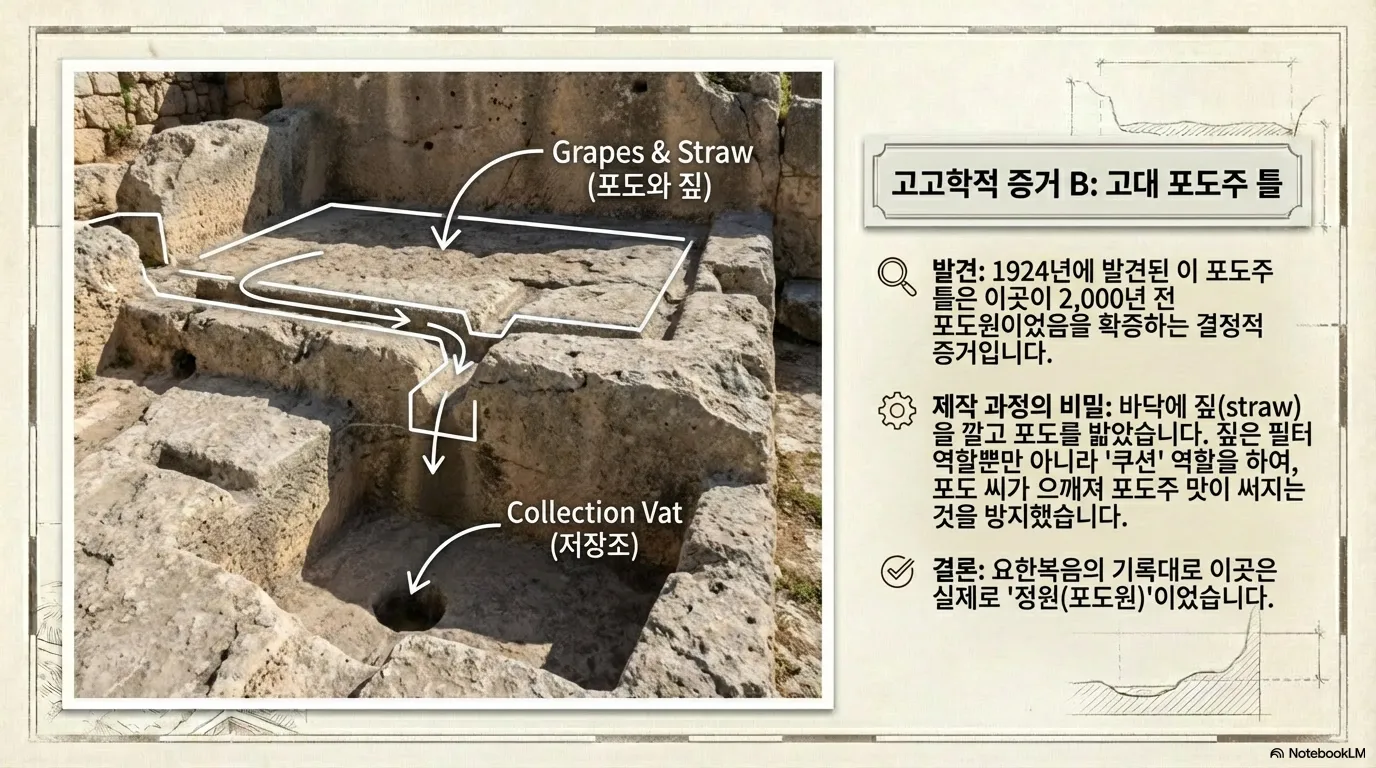 unnamed (17).png.webp