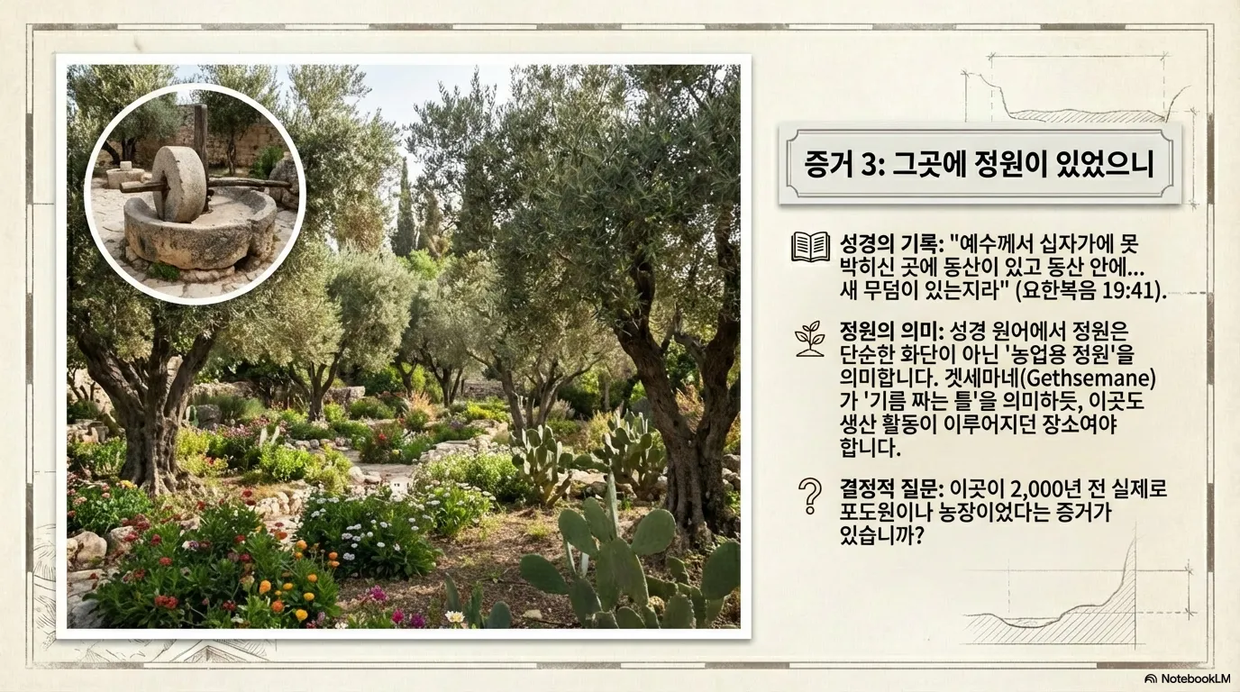 unnamed (15).png.webp