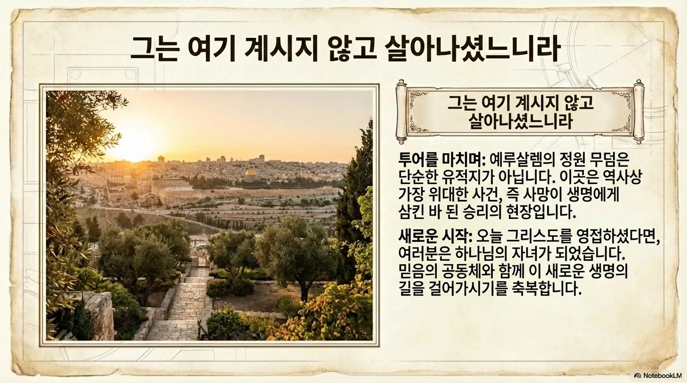 unnamed (26).png.webp