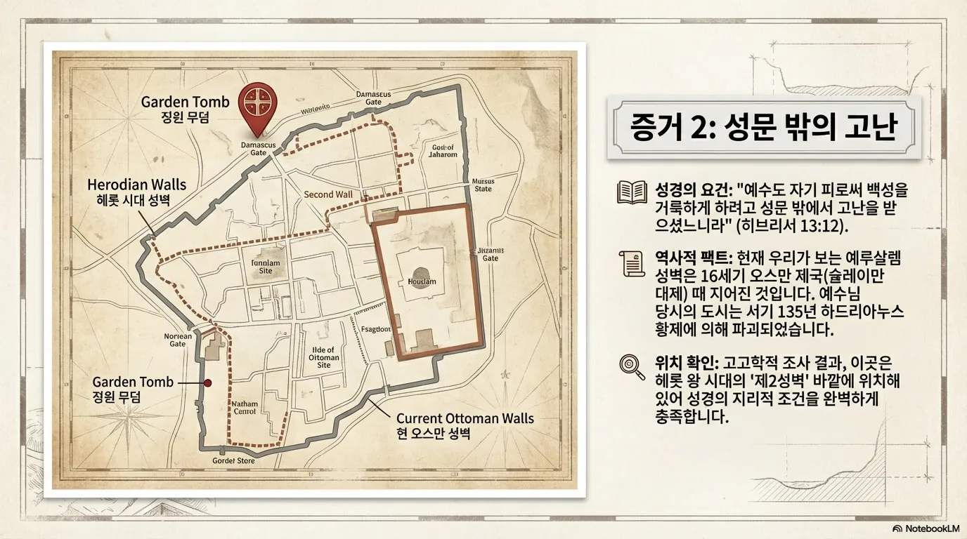 unnamed (24).png.webp