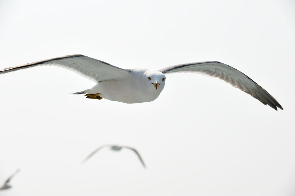DSC_8786.jpg
