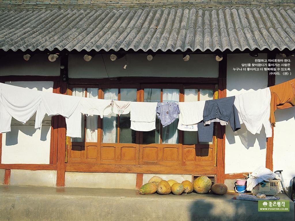 taereo_32560270.jpg