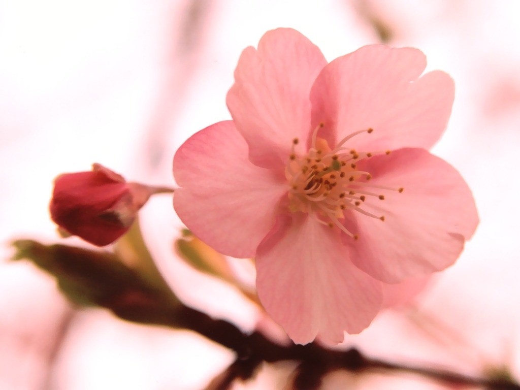 spring0311.jpg