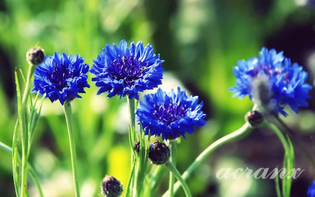20260829_222413.jpg.webp