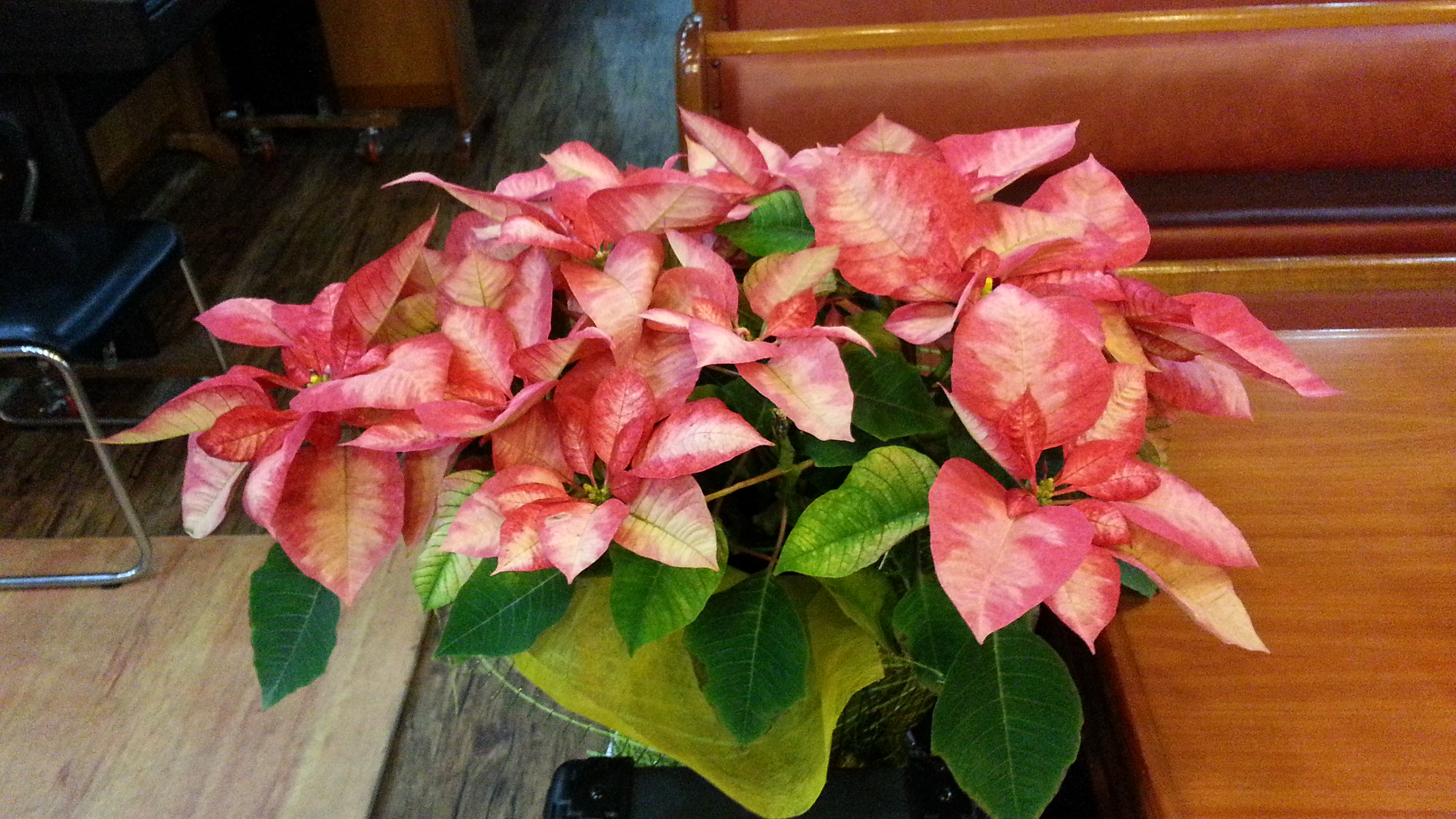 20131123_192449.jpg