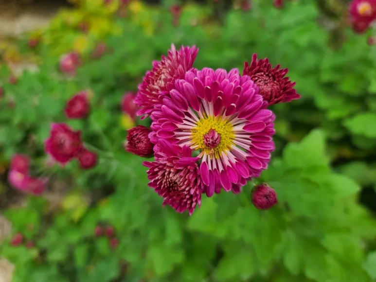 20221107_151307.jpg.webp