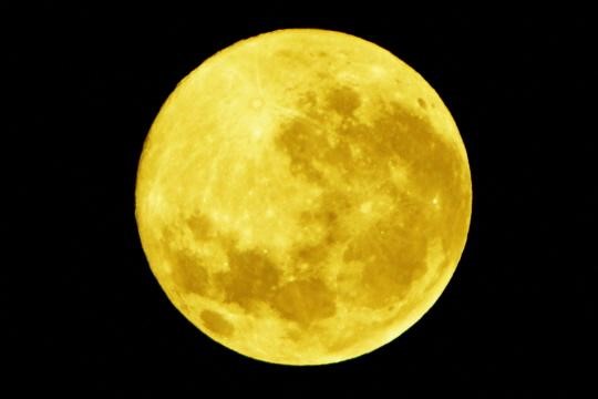 20160222100551_56ca5eef5d686_1_99_20160222100703.jpg