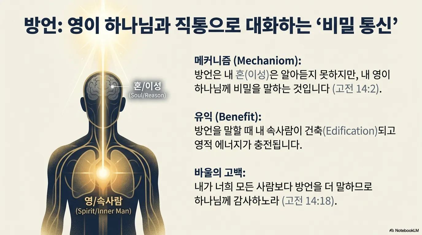 unnamed (9).png.webp