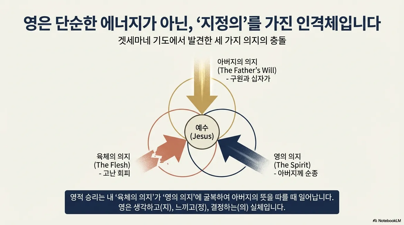 unnamed (7).png.webp