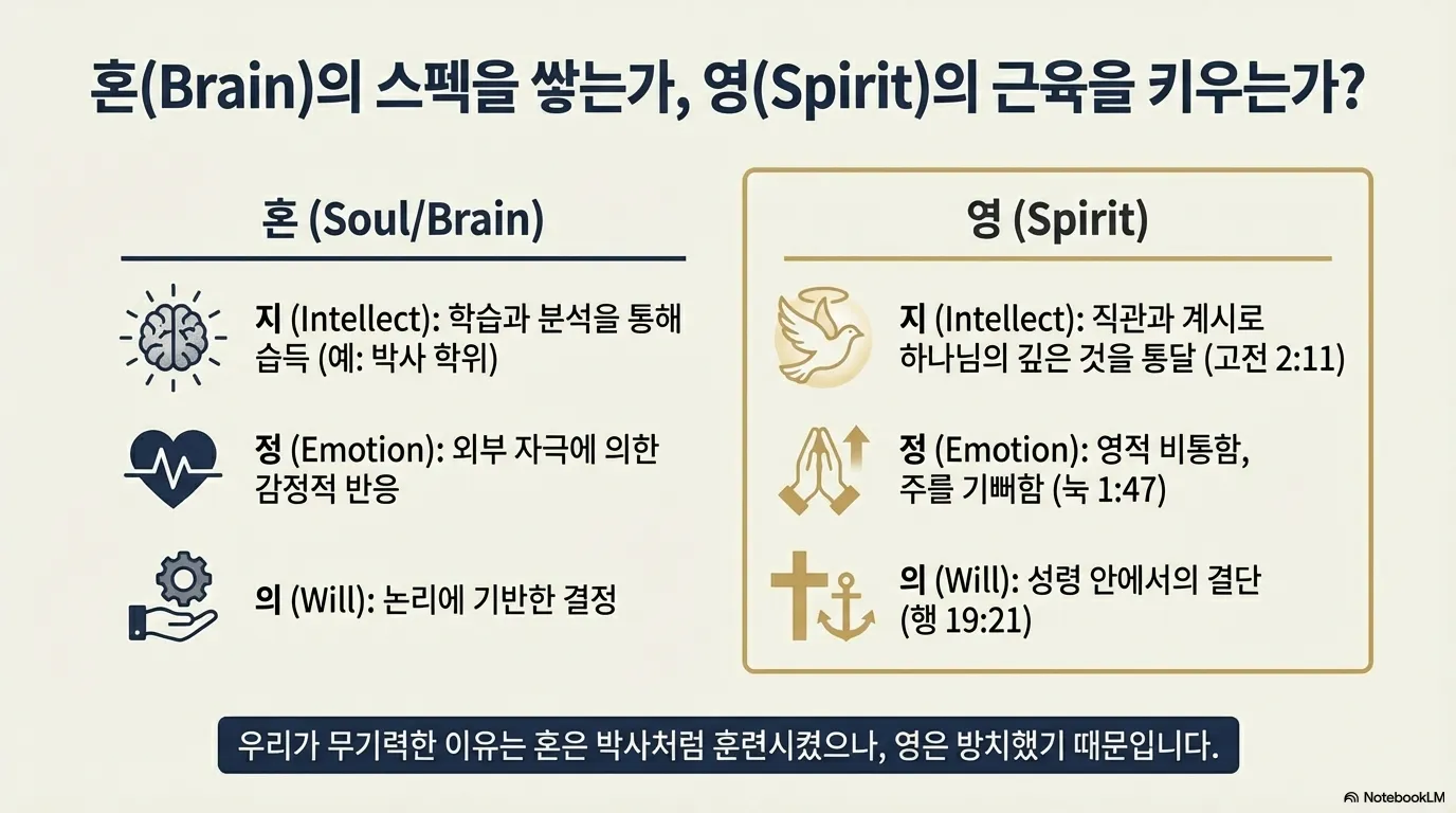 unnamed (8).png.webp