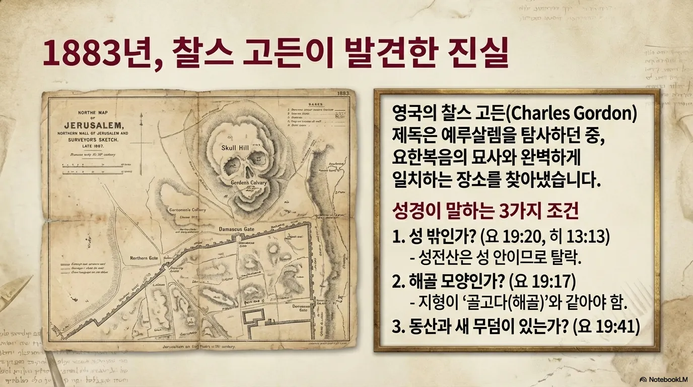 unnamed (14).png.webp