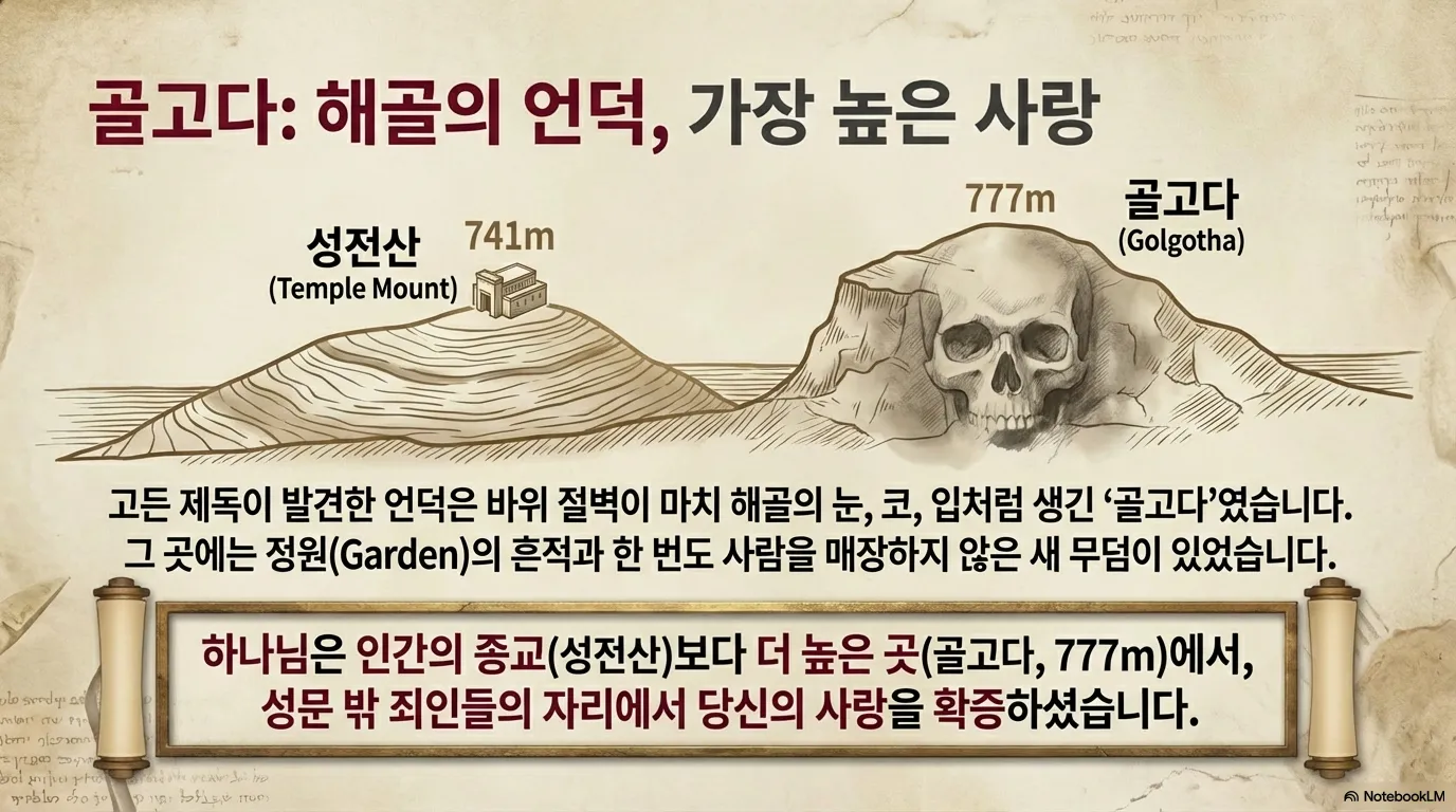 unnamed (15).png.webp