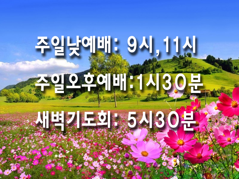 9479주일예배안내.jpg